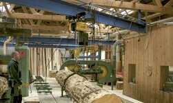 Un système de grue pour charges encombrantes transporte un tronc d'arbre pour la transformation du bois
